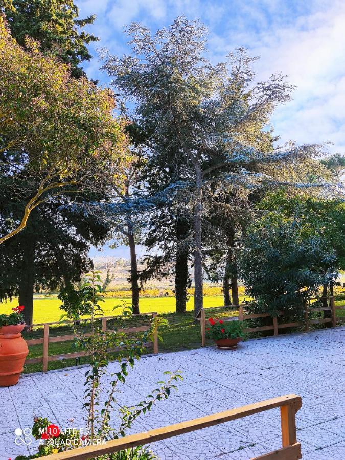 Willa Agriturismo Pian Dell'Osa Montiano  Zewnętrze zdjęcie