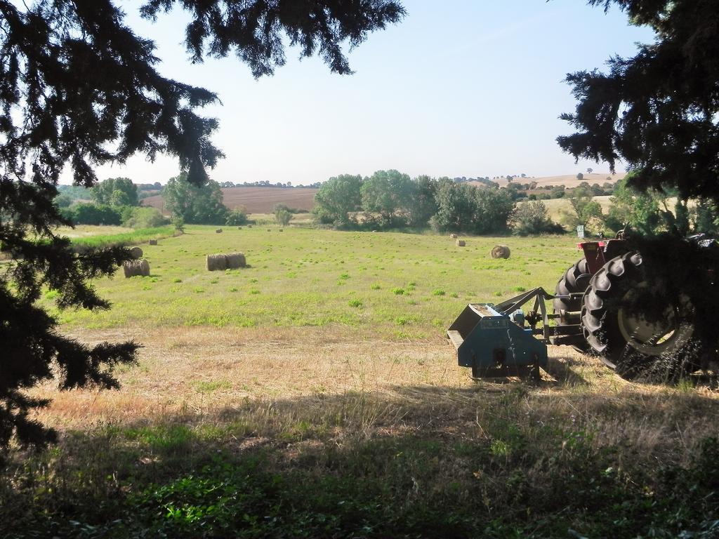 Willa Agriturismo Pian Dell'Osa Montiano  Zewnętrze zdjęcie