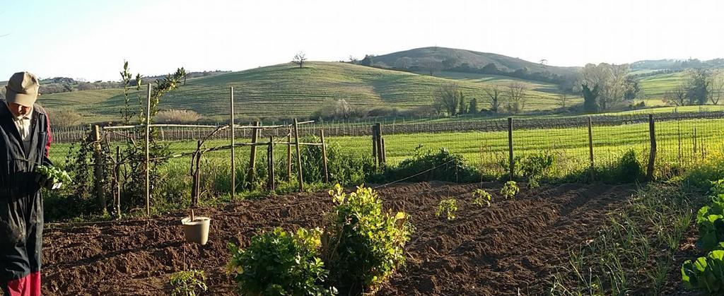 Willa Agriturismo Pian Dell'Osa Montiano  Zewnętrze zdjęcie